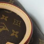 Louis Vuitton Speedy 20 Monogram — фото 13