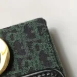 Dior 30 Montaigne Oblique CD (Диор) — фото 19
