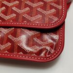 Goyard Saint Louis — фото 18
