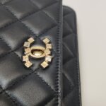 Chanel Quilted Lambskin CC Crossbody (Шанель) — фото 16