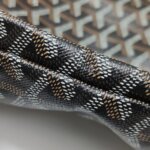 Goyard Saint Louis — фото 16