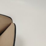 Valentino Garavani Colorblock Clutch — фото 12
