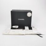 Chanel 19Bag (Шанель) — фото 9