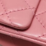 Chanel 2.55 Flag Bag — фото 12