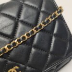 Chanel WOC — фото 13