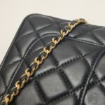 Chanel WOC — фото 17