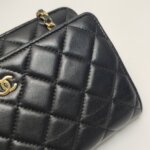 Chanel WOC — фото 21