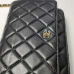 Chanel WOC — фото 29