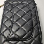 Chanel WOC — фото 30