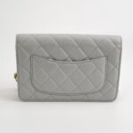 Chanel Quilted Lambskin CC Crossbody — фото 5