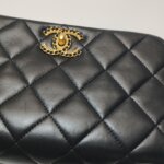 Chanel Flap Bag (Шанель) — фото 19