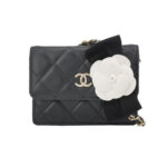 Chanel WOC — миниатюра 1