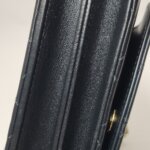 Chanel Quilted Lambskin CC Crossbody — фото 21
