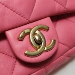 Chanel Flap Bag (Шанель) — фото 12