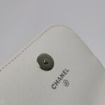 Chanel Quilted Calfskin CC Crossbody — фото 14