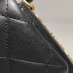 Chanel Quilted Lambskin CC Crossbody (Шанель) — фото 14