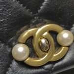 Chanel Flap Bag (Шанель) — фото 11