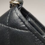 Chanel WOC — фото 20