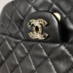 Chanel Flap Bag (Шанель) — фото 16
