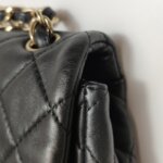 Chanel Flap Bag (Шанель) — фото 26