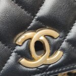 Chanel WOC — фото 14