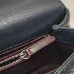 Chanel Coco Handle (Шанель) — фото 10