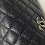 Chanel Coco Handle (Шанель) — фото 22