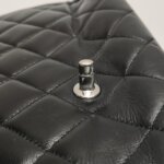 Chanel Flap Bag (Шанель) — фото 14