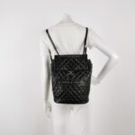 Chanel Quilted Waxed Calfskin CC Backpack (Шанель) — фото 2