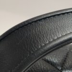 Chanel Quilted Lambskin Crossbody (Шанель) — фото 21