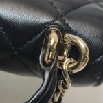 Chanel Quilted Lambskin CC Crossbody — фото 21