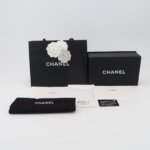 Chanel Classic Flap (Шанель) — фото 9