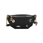 Chanel Lambskin CC Belt Bag (Шанель) — миниатюра 1