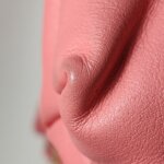 Chanel 22Bag (Шанель) — фото 15