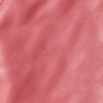 Chanel 22Bag (Шанель) — фото 25