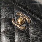 Chanel Coco Handle (Шанель) — фото 12