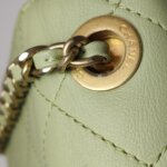 Chanel Quilted Calfskin Crossbody (Шанель) — фото 14