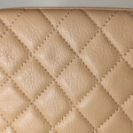 Chanel 2.55 Bag (Шанель) — фото 18