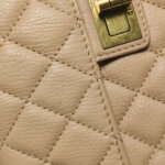 Chanel 2.55 Bag (Шанель) — фото 22