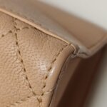 Chanel 2.55 Bag (Шанель) — фото 29