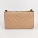 Chanel 2.55 Bag (Шанель) — фото 5