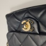 Chanel Flap Bag (Шанель) — фото 13