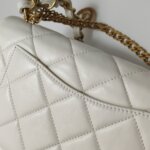 Chanel Flap Bag (Шанель) — фото 19