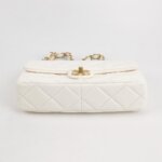Chanel Flap Bag (Шанель) — фото 6