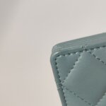 Chanel Quilted Lambskin CC Crossbody (Шанель) — фото 19