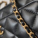 Chanel Quilted Calfskin Crossbody (Шанель) — фото 14