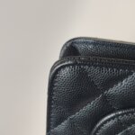 Chanel Quilted Calfskin Crossbody (Шанель) — фото 21