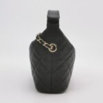 Chanel Quilted Calfskin Crossbody (Шанель) — фото 4
