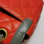 Chanel Flap Bag (Шанель) — фото 25