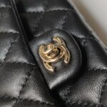 Chanel Quilted Lambskin CC Handbag (Шанель) — фото 16